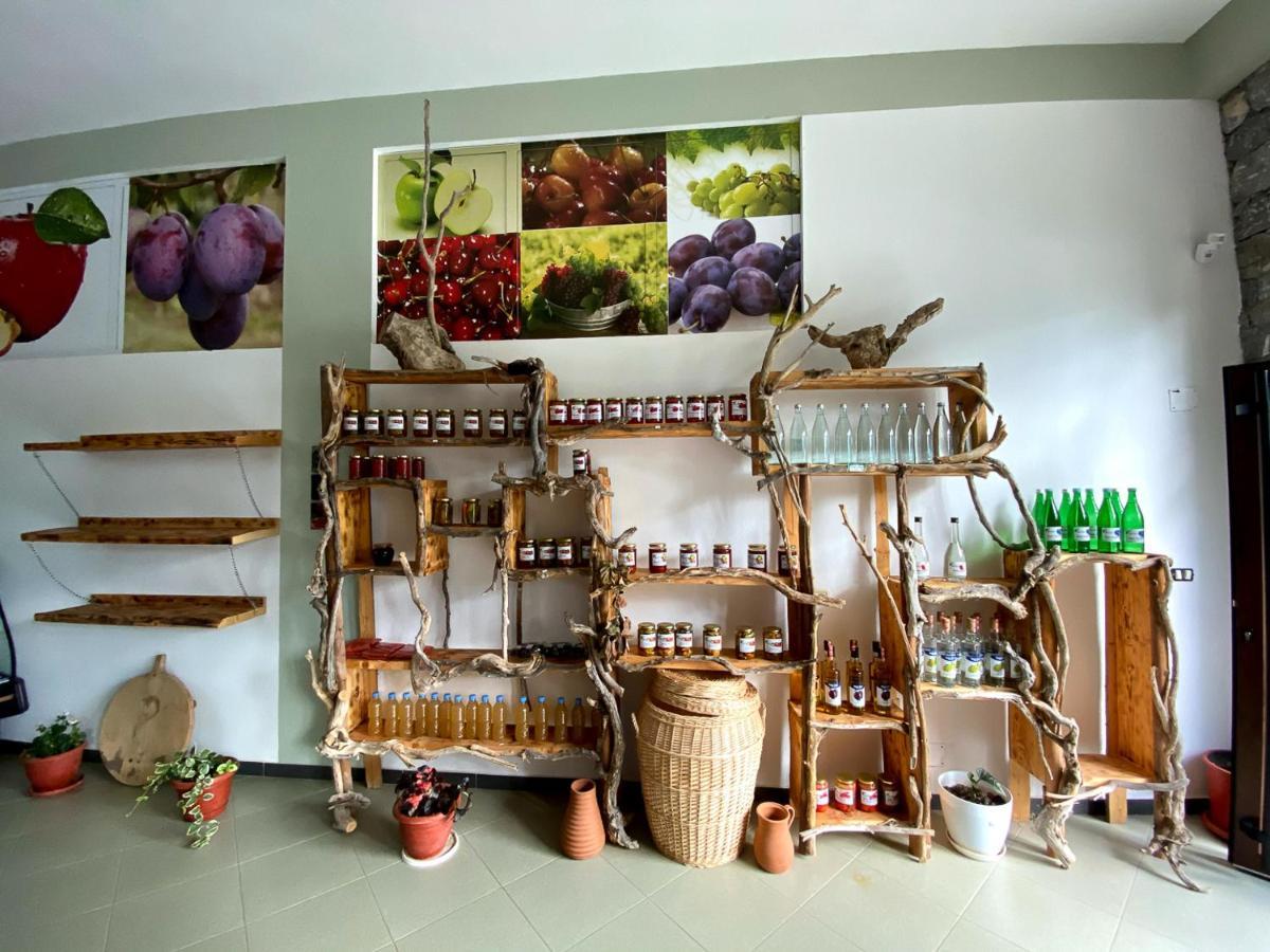 Nena Dashuri Agroturizem Peshkopi Exteriér fotografie