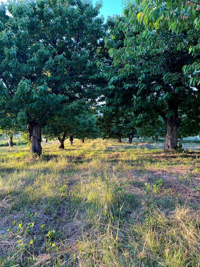 Nena Dashuri Agroturizem Peshkopi Exteriér fotografie